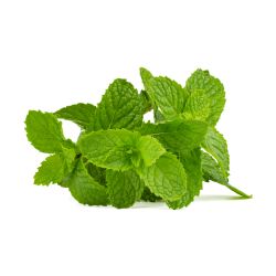 Mint