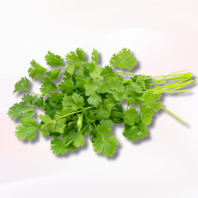 Coriander